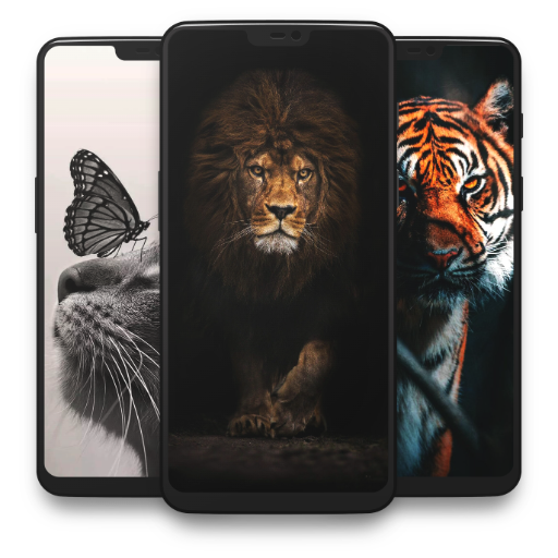 Animal Wallpapers 4K Download on Windows