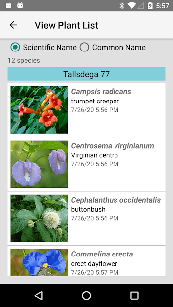 Captura 9 Alabama Wildflowers android