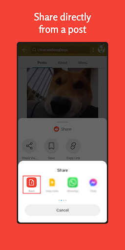 Rippit for Reddit Downloader Screen 2