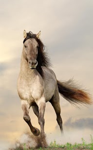 Horses Live Wallpaper For PC installation