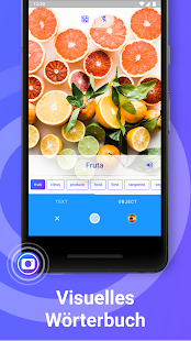 iTranslate Translator Mod Apk Screenshot