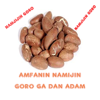 Amfanin Namijin Goro