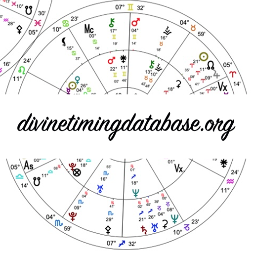 Divine Timing Database logo