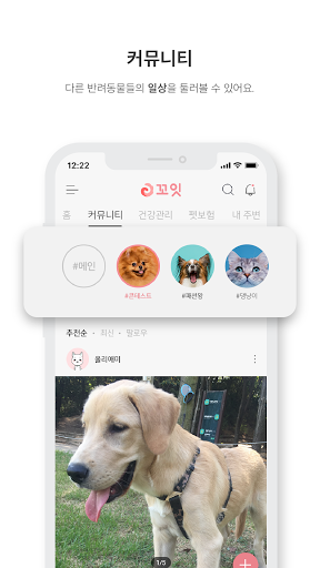 꼬잇 Screen 3