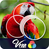 Venn Birds: Circle Jigsaw icon