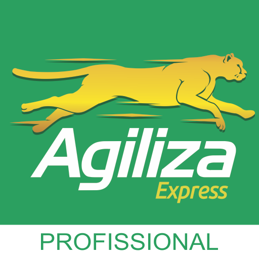 Agiliza Express - Profissional