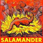 Salamander: Elemental Spirit of Fire (Mythology)