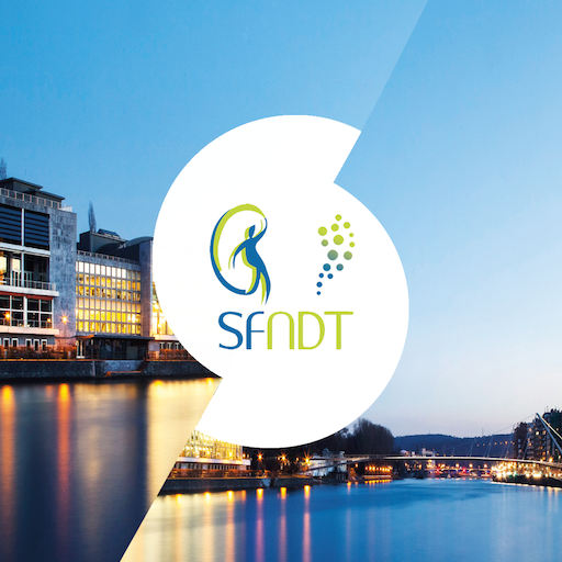 SFNDT 2023 logo