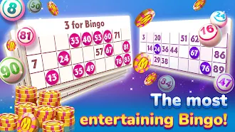Game screenshot Bingo Rider - Casino Game mod apk