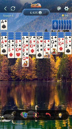 Spider Solitaire : Card Game 3