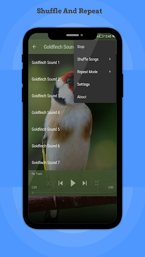Goldfinch Sounds Screen 3