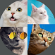 Cat Breeds: Quiz - Androidアプリ