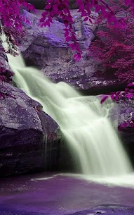 Wild Waterfalls Live Wallpaper For PC installation
