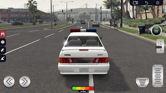 Special Force Lada Police Race