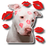 Cover Image of Скачать Adorable Dog stickers for whatsapp - WAStickerapps 1.1 APK