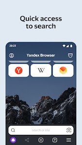 Yandex Browser with Protect Unknown
