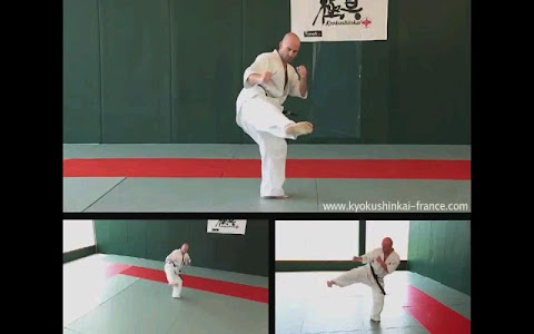 Kyokushin - Leg Techniquesのおすすめ画像4