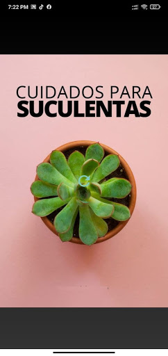 Android application Suculentas Club screenshort