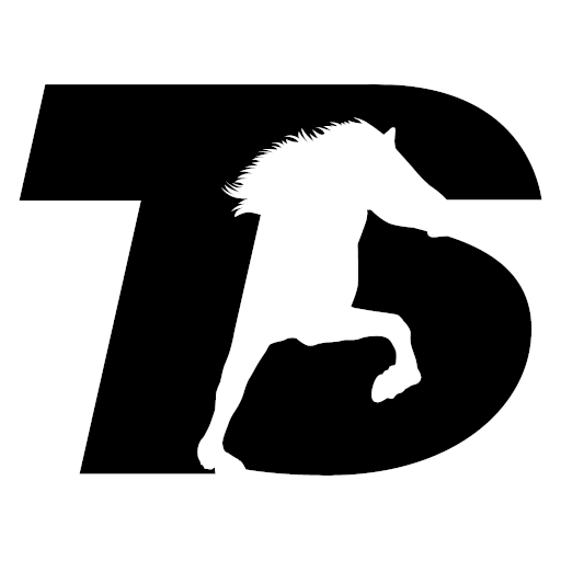 TöltSense logo