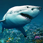 Cover Image of Download Killer Shark Attack Game VR  APK
