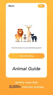 動物の識別 - AI を使用して動物、昆虫、魚、鳥などを識別