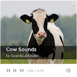 Cow Sounds icon