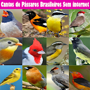Cantos de Pássaros Brasileiros Sem internet 1.2 Icon