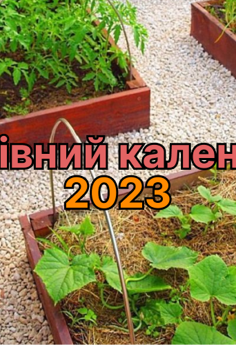 Sowing Calendar 2024 Screen 2