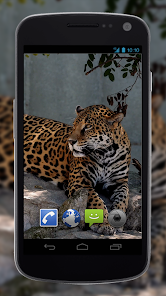 4K Jaguar Live Wallpaper App Store Data & Revenue, Download Estimates on  Play Store