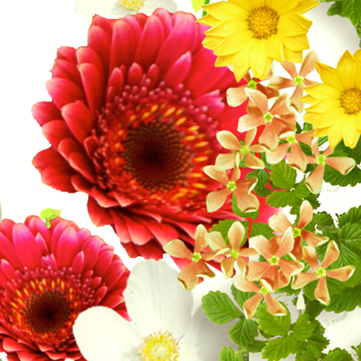 Blooming Bouquet Wallpaper logo
