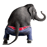 Cover Image of Descargar Elefante parlante bailando 1.5 APK