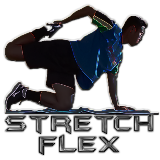 Stretch Flex Exercises logo