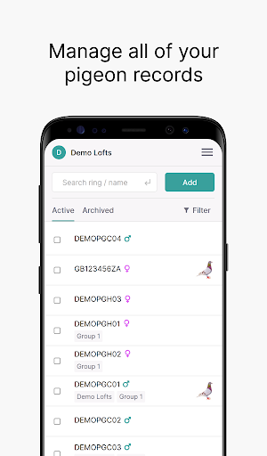 Android application Loftmate - Pigeon Pedigrees screenshort