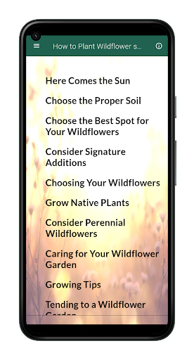 How to Plant Wildflower seeds Screen 2