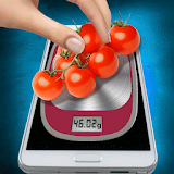 Scales in Phone Simulator icon