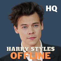 Harry Styles Song Offline