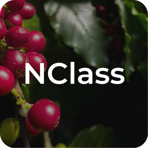 NClass  Icon