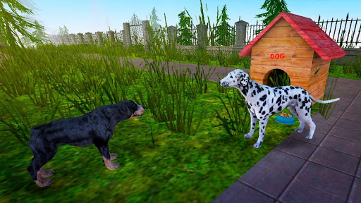 Dalmatian Dog Pet Life Sim 3D