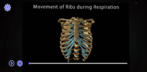 AR Skeletal Screen 2