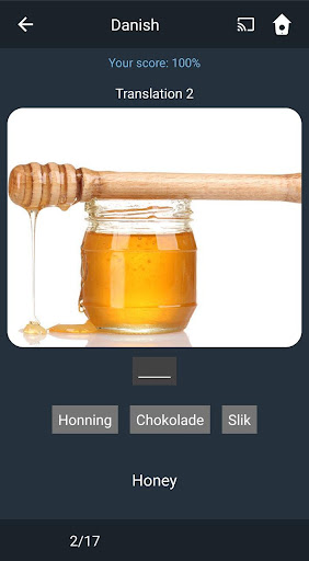 Screenshot of Learn Danish. Speak Danish. St