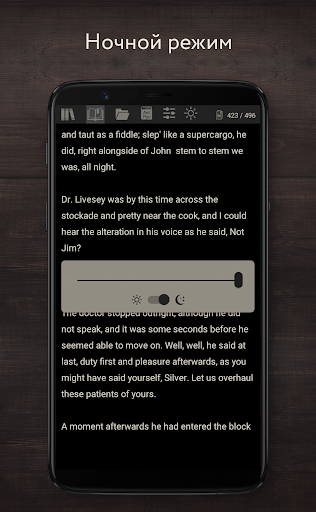 Ридер с переводом премиум