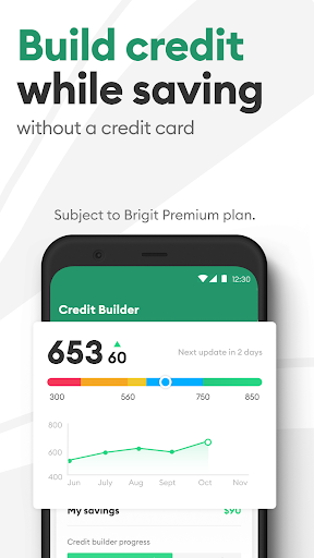 Brigit: Borrow & Build Credit 3
