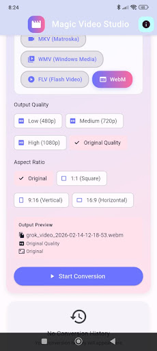 Video Converter ekran görüntüsü