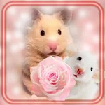 Cover Image of Unduh Hamsters and Mouses Cute  APK