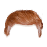Trump your hair icon