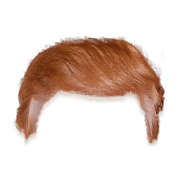 Trump your hair