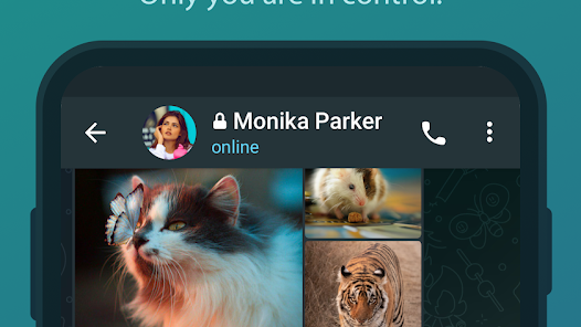 Telegram APK v9.5.4 MOD (Premium Unlocked) Gallery 3