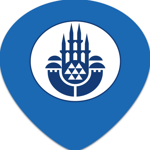 ibbWiseUp logo