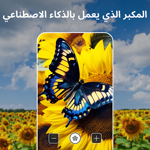 معاينة التطبيق