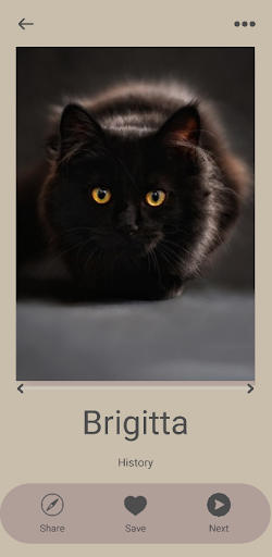 Cat Name Generator Screen 3